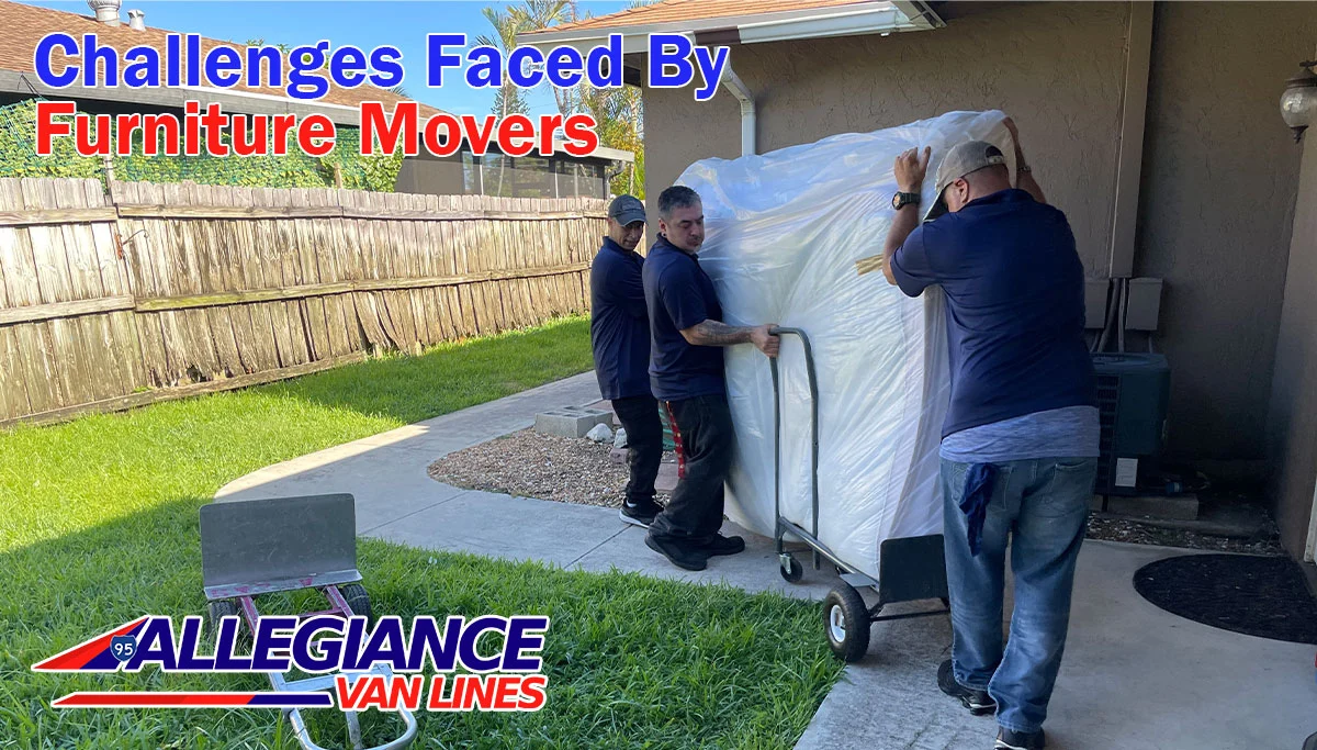 Furniture Movers